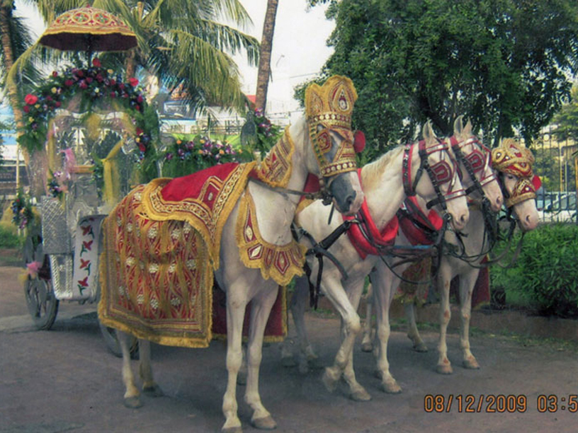 4 Horse Baggi/Chariot on Rent in Mumbai